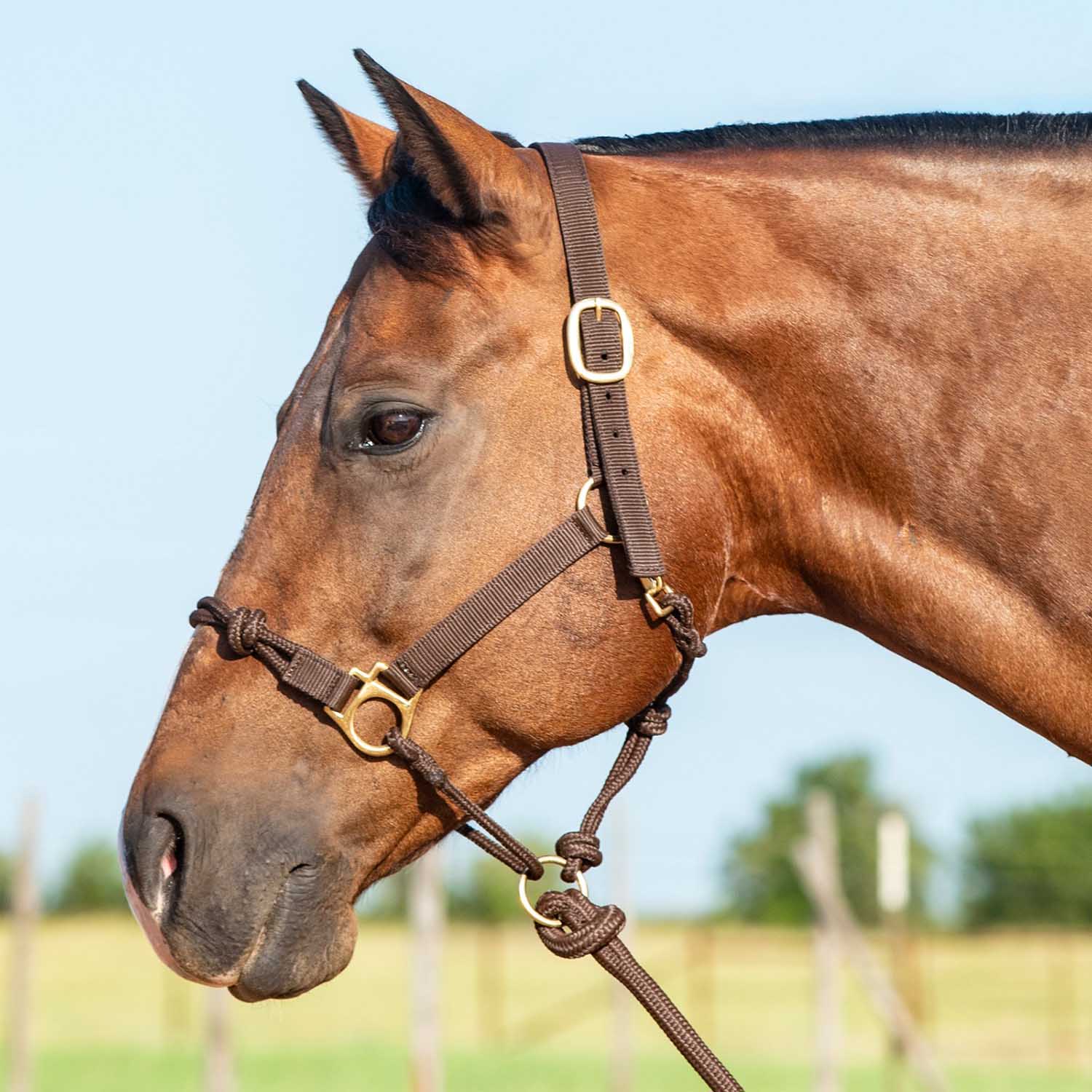 Cashel Nylon and Rope Halter - Image 3
