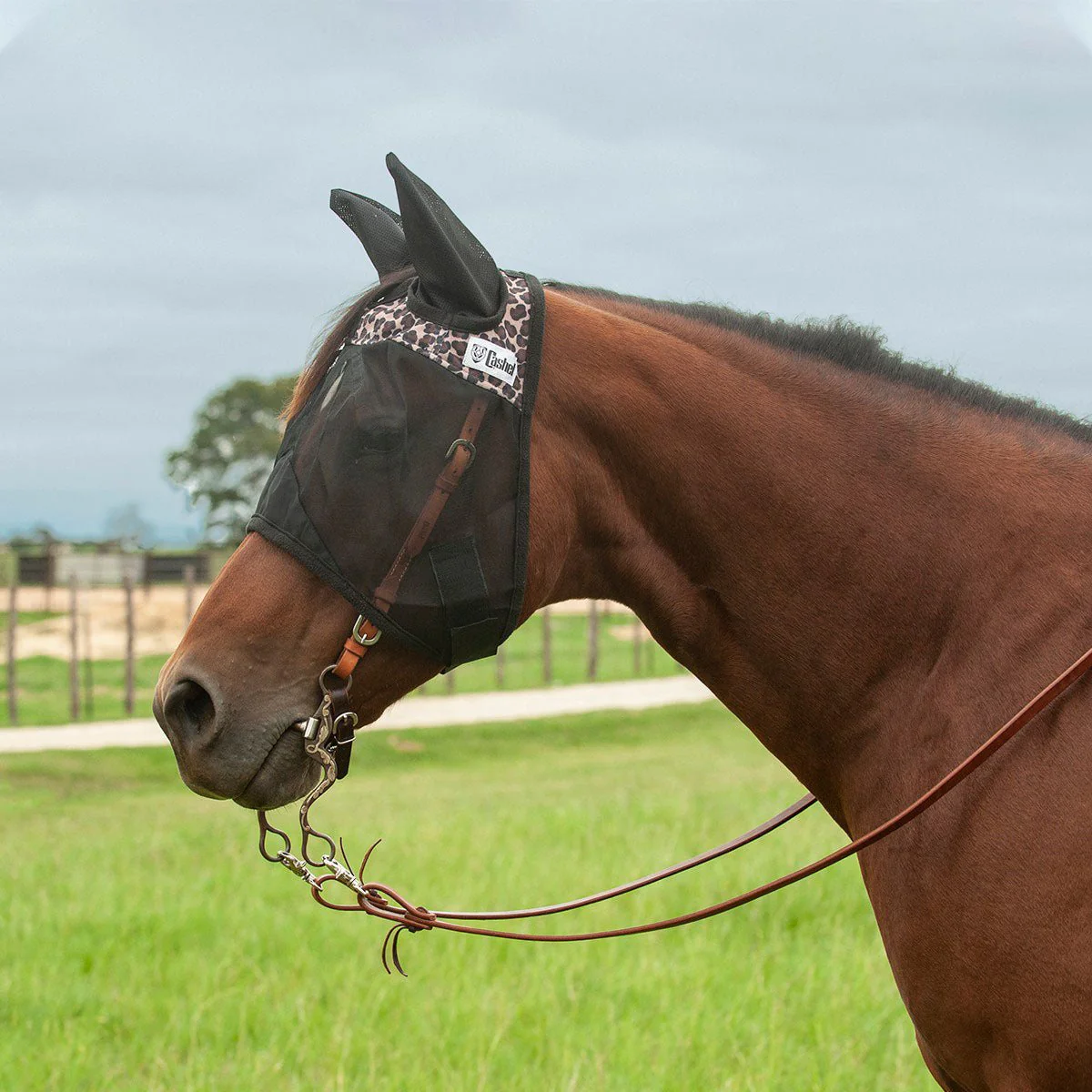 Cashel Quiet Ride Fly Mask with Ears for Horses, Lightweight Riding Protection - Image 1