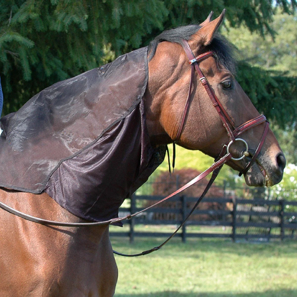 Cashel Quiet Ride Hood - Image 1