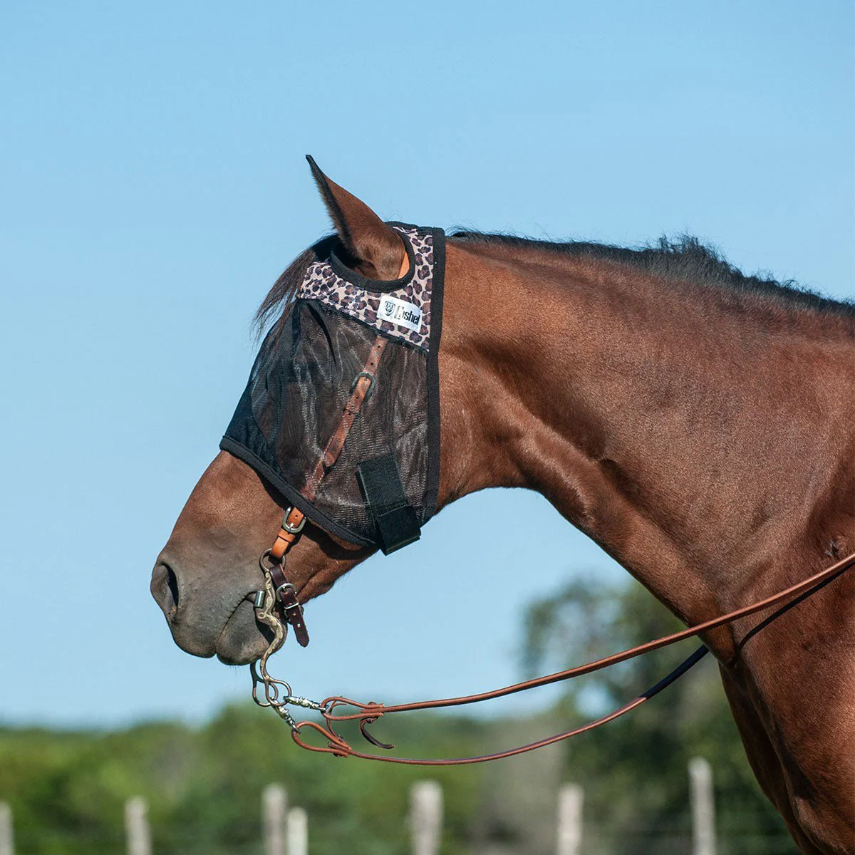 Cashel Quiet Ride Horse Fly Mask for Insect Control & Protection - Image 1