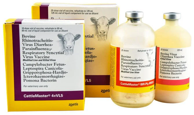 CattleMaster® 4 + VL5 Cattle Vaccine - Image 1