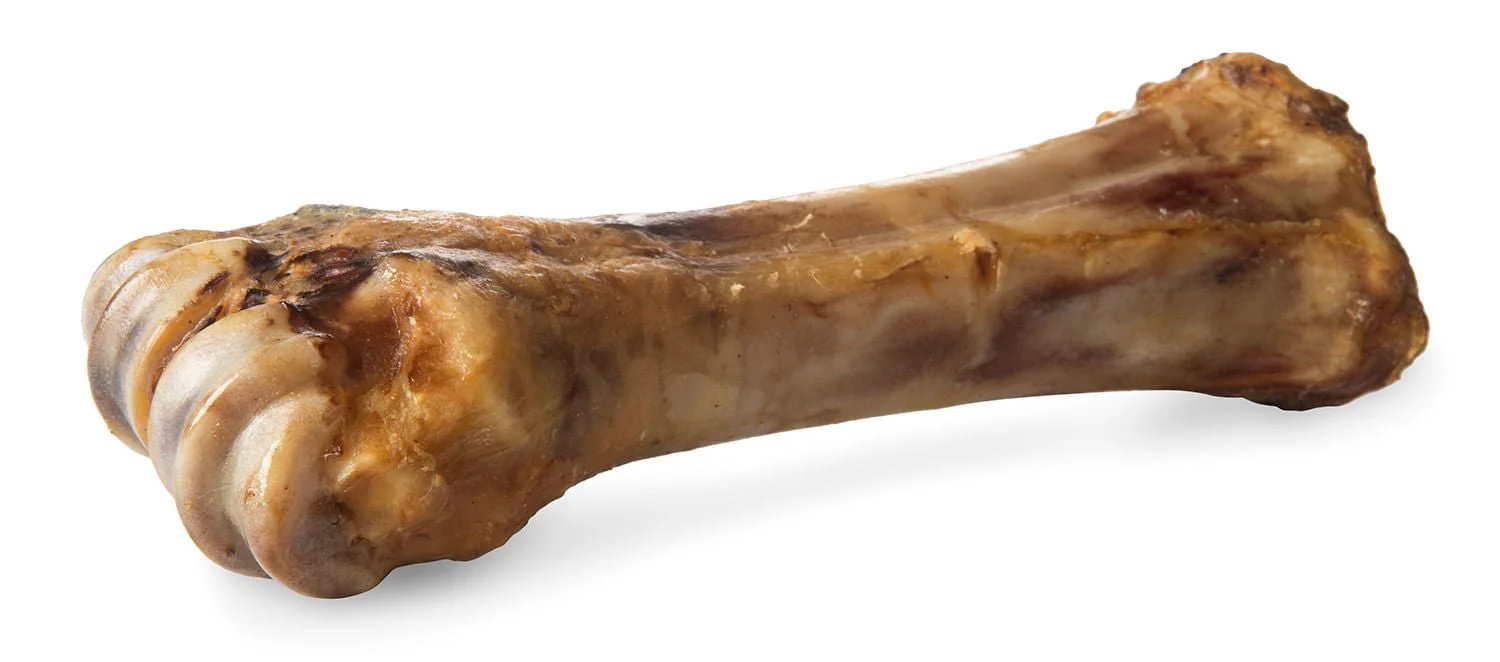 ChewMax Beef Shank Bone - Image 1