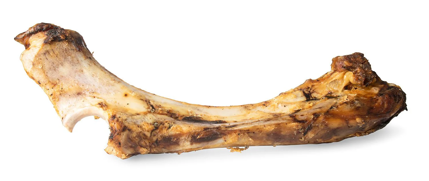 ChewMax Slammer Beef Bone, 14" L - Image 1