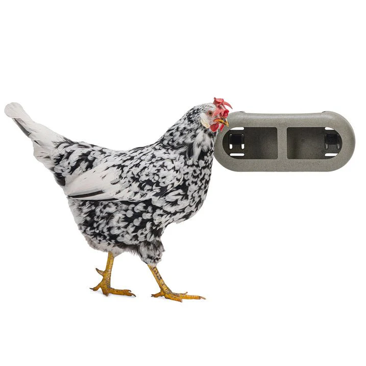 Chicken Feeder with Velcro Attachments – 100% Recycled, Eco-Friendly - Image 1