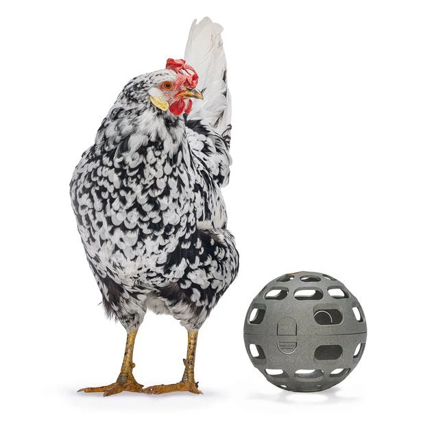 Chicken Snack Ball – 100% Recycled, Foraging & Play Feeder - Image 1