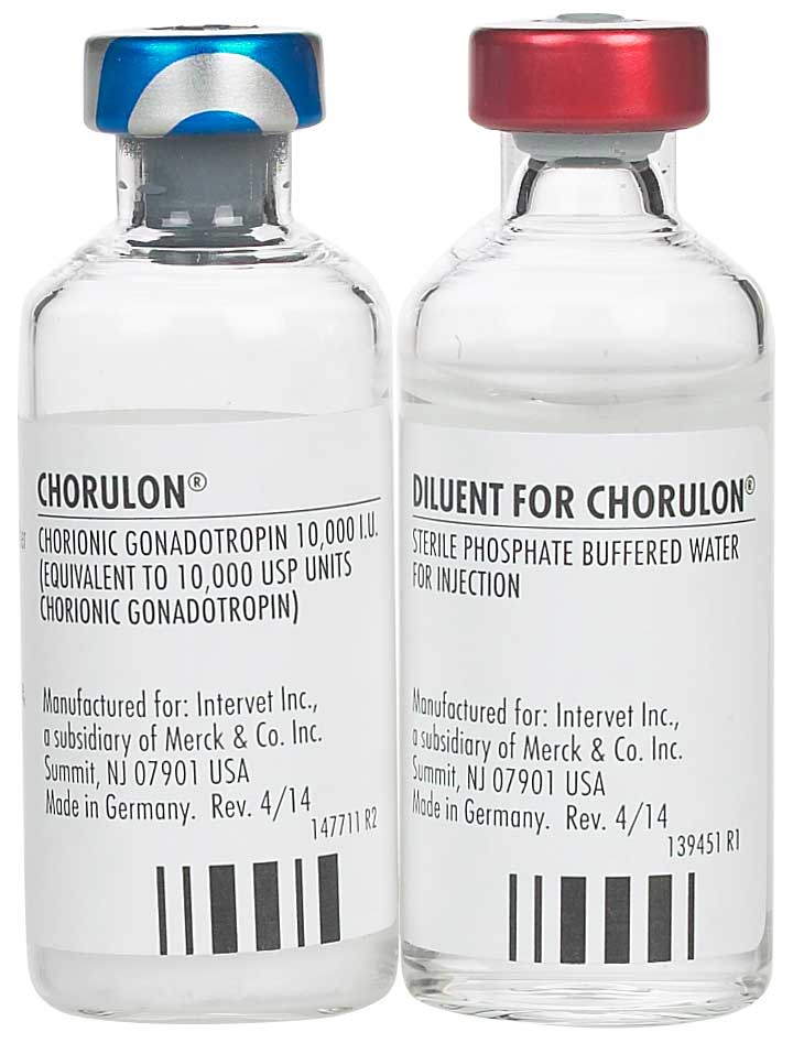Rx Chorulon HCG Injection for Cattle - Image 2