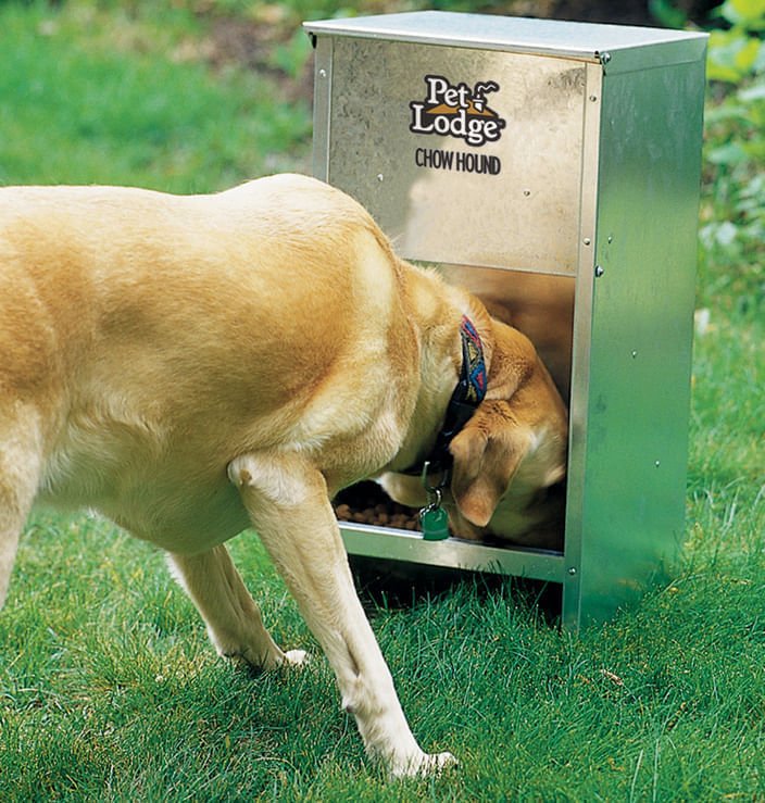 Chow Hound Pet Feeder - Image 2