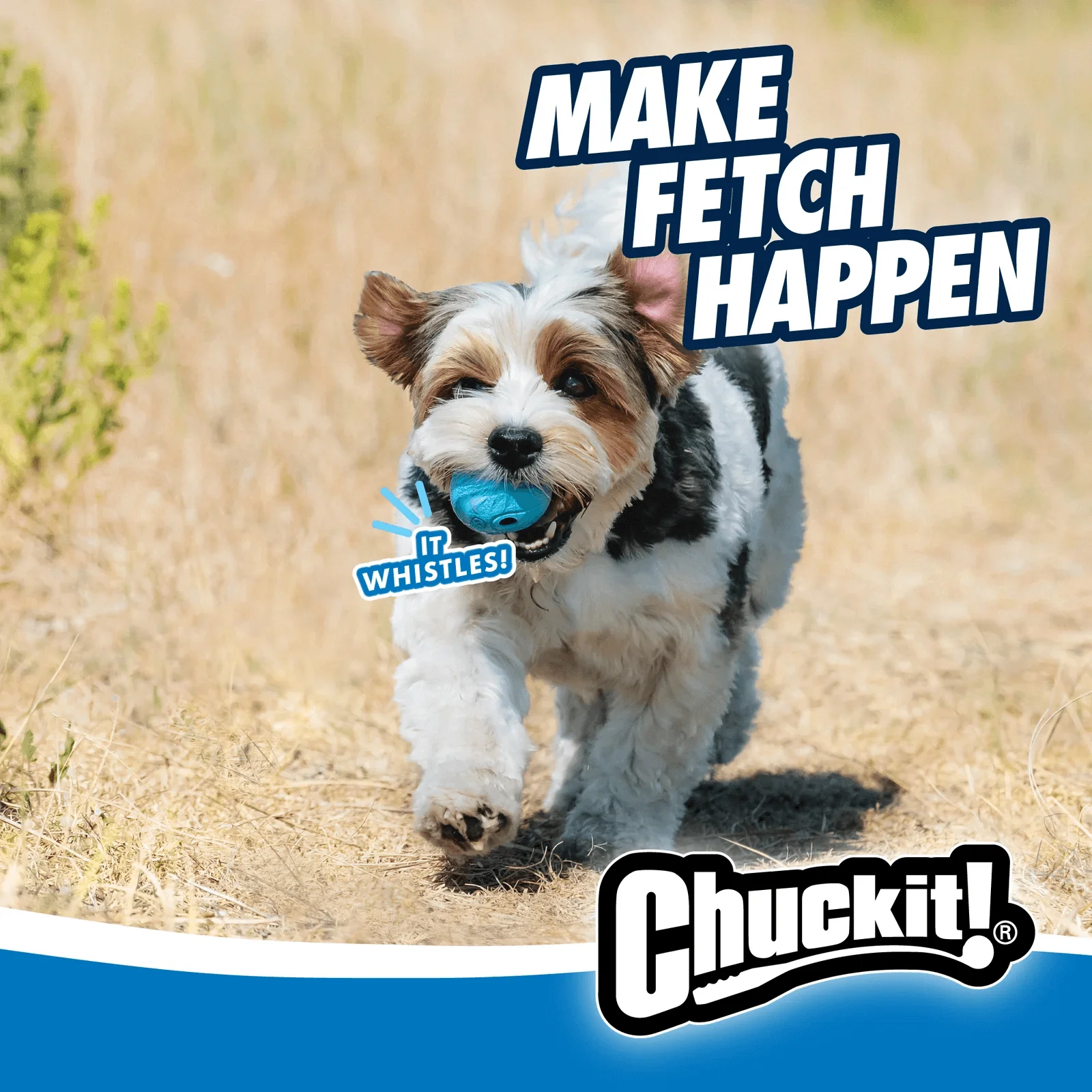 Chuckit! The Whistler Dog Toy, Medium, 2 pk - Image 3