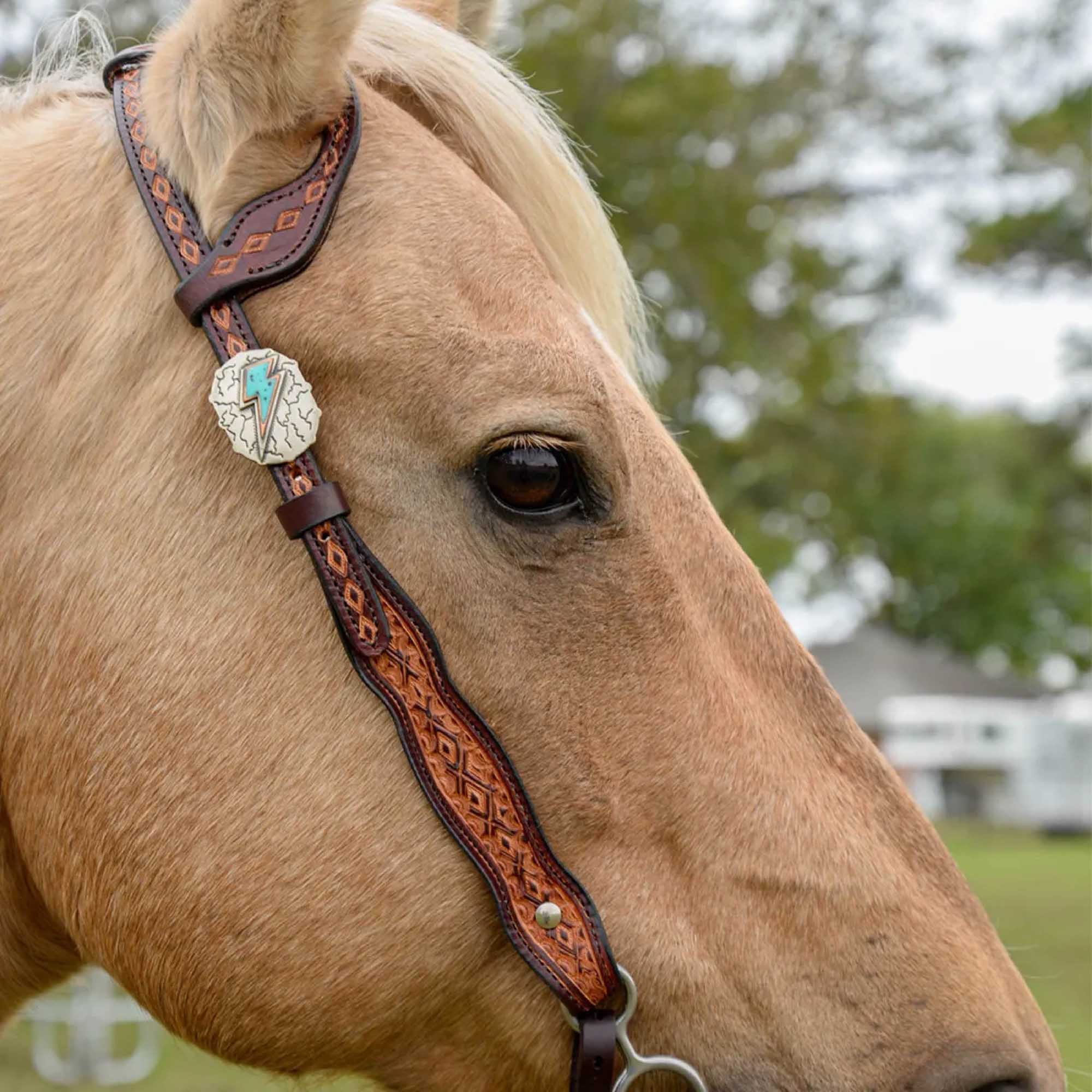 Circle Y Montana One Ear Headstall, Full - Image 2