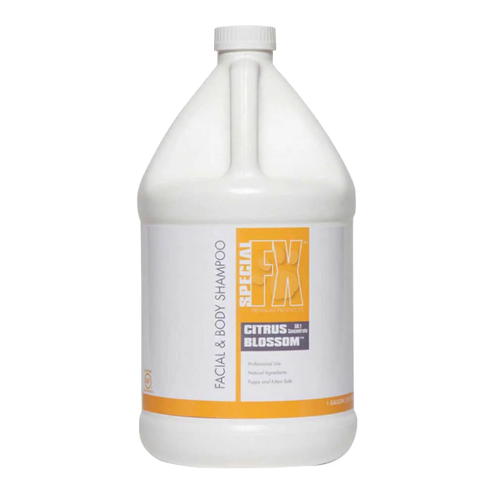 Citrus Blossom Facial & Body Shampoo, 50:1, Gallon - Image 1