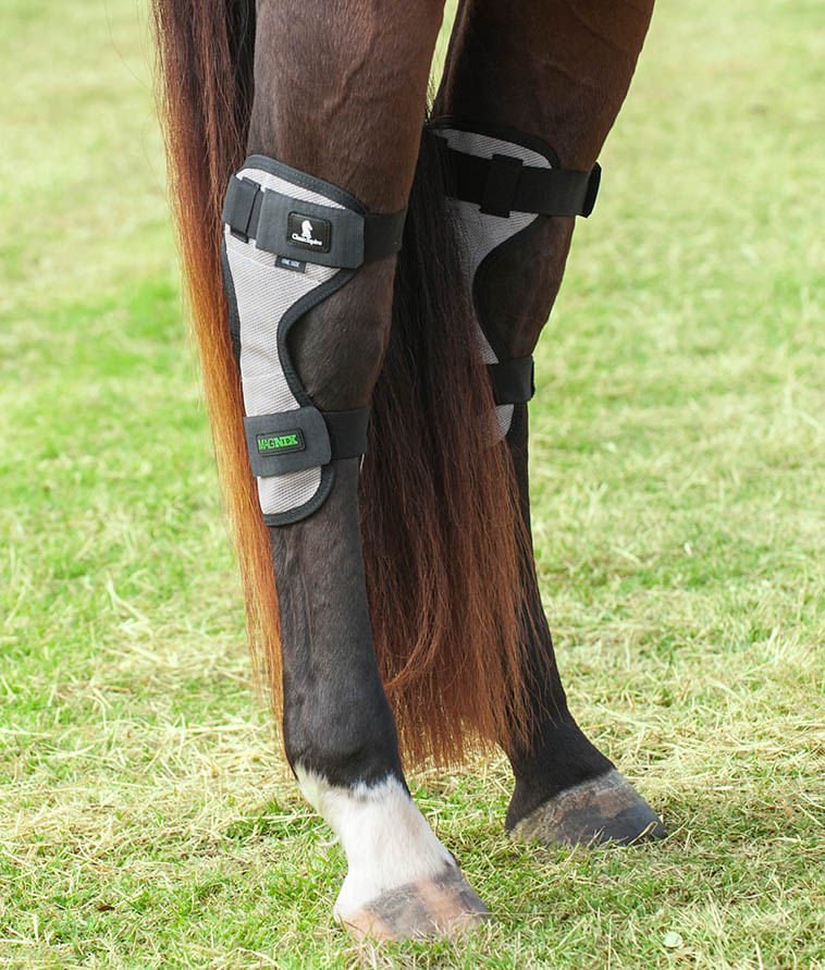 Classic Equine MagNTX Magnetic Therapy Hock Wraps, Pair - Image 1