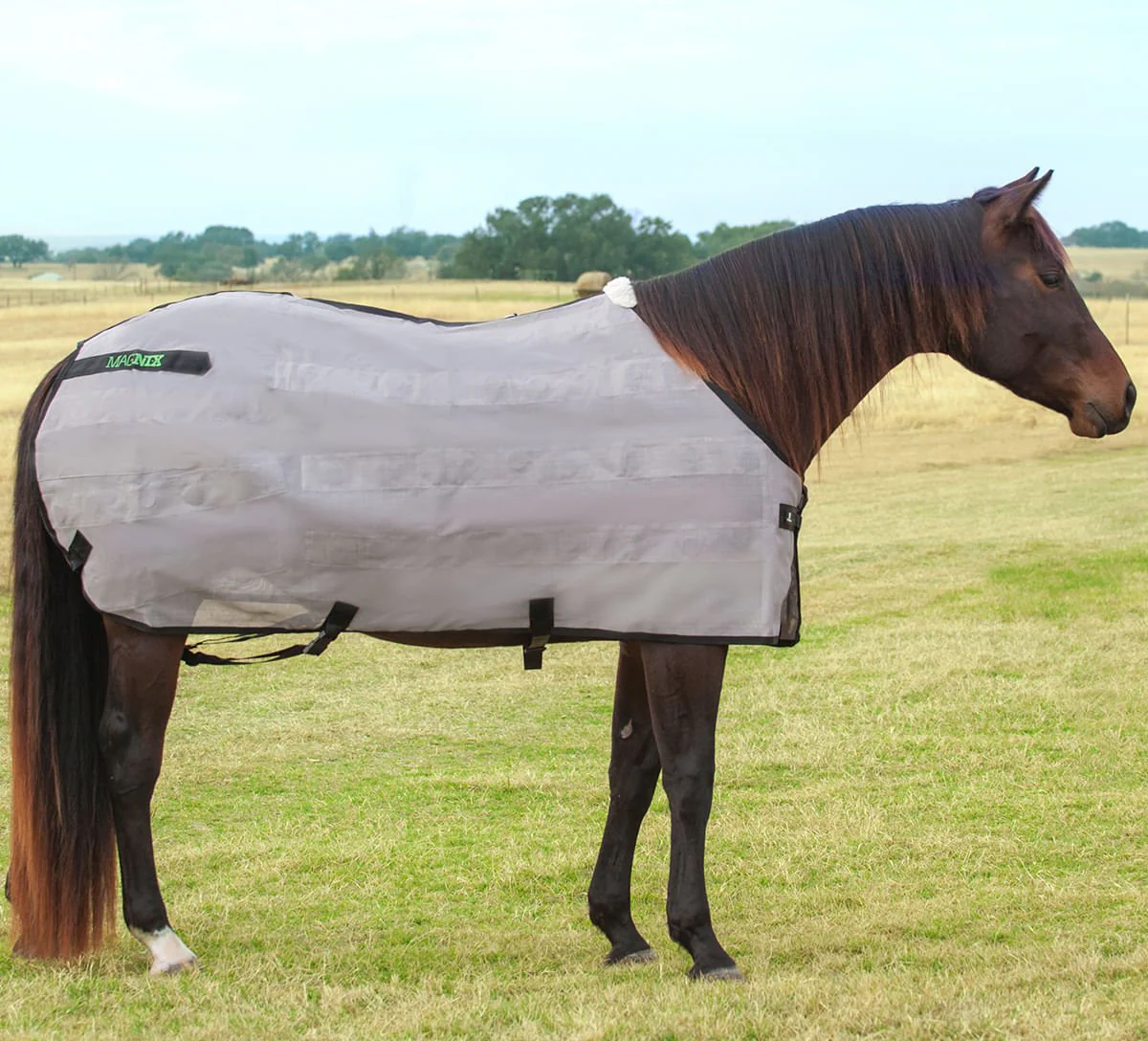 Classic Equine MagNTX Magnetic Horse Therapy Sheet - Image 2