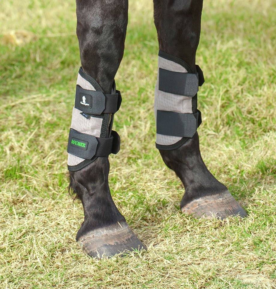Classic Equine MagNTX Magnetic Horse Therapy Tendon Wraps, Pair - Image 1