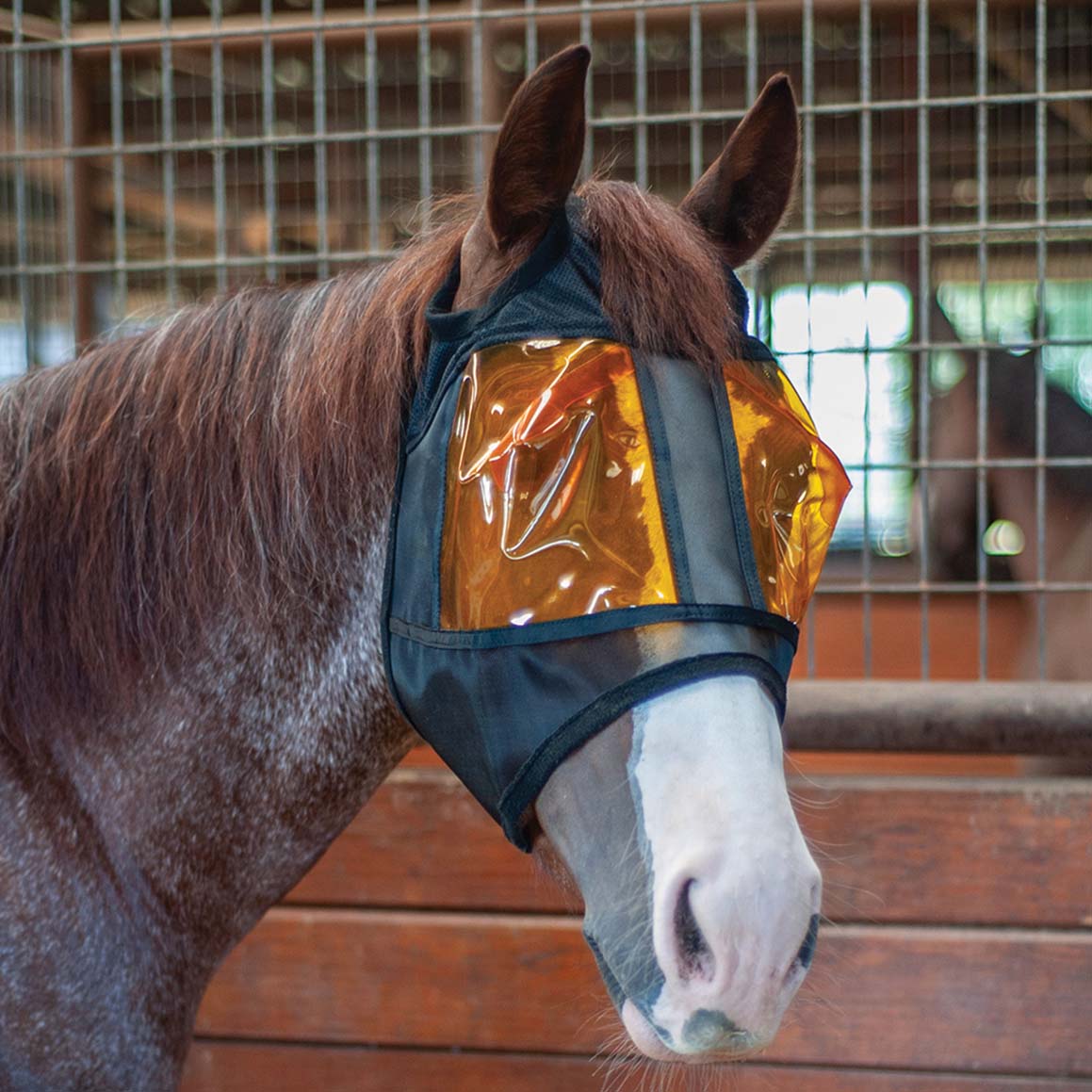Classic Equine Restoration Equine Mask - Image 1