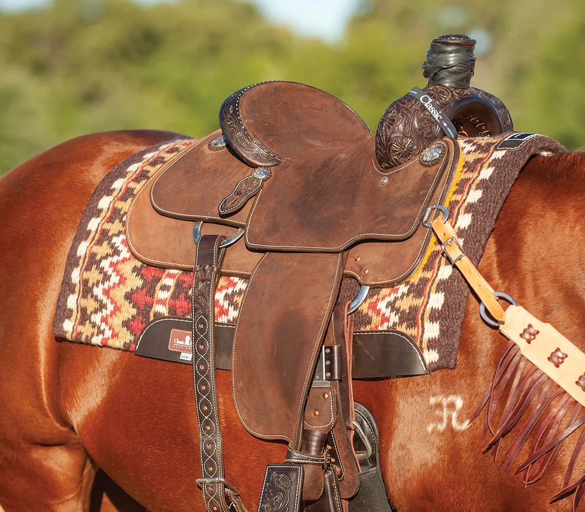 Classic Equine Wool Top Saddle Pad - Image 2