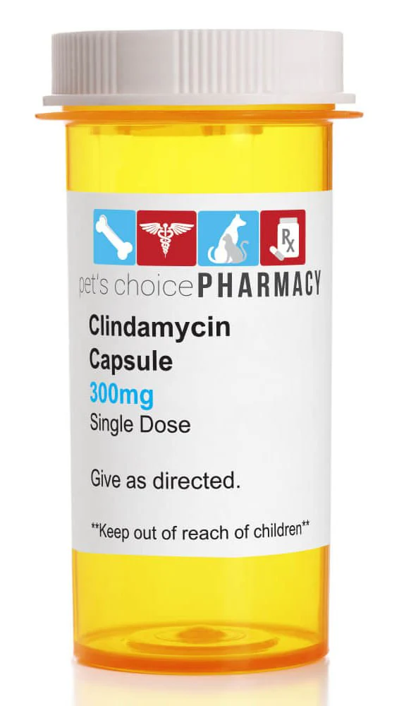 Rx Clindamycin HCl (Generic) Capsules for Dogs - Image 1