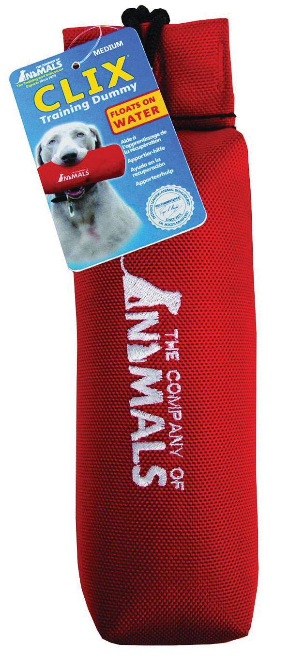 CLIX Canvas Training Dummy - Image 1