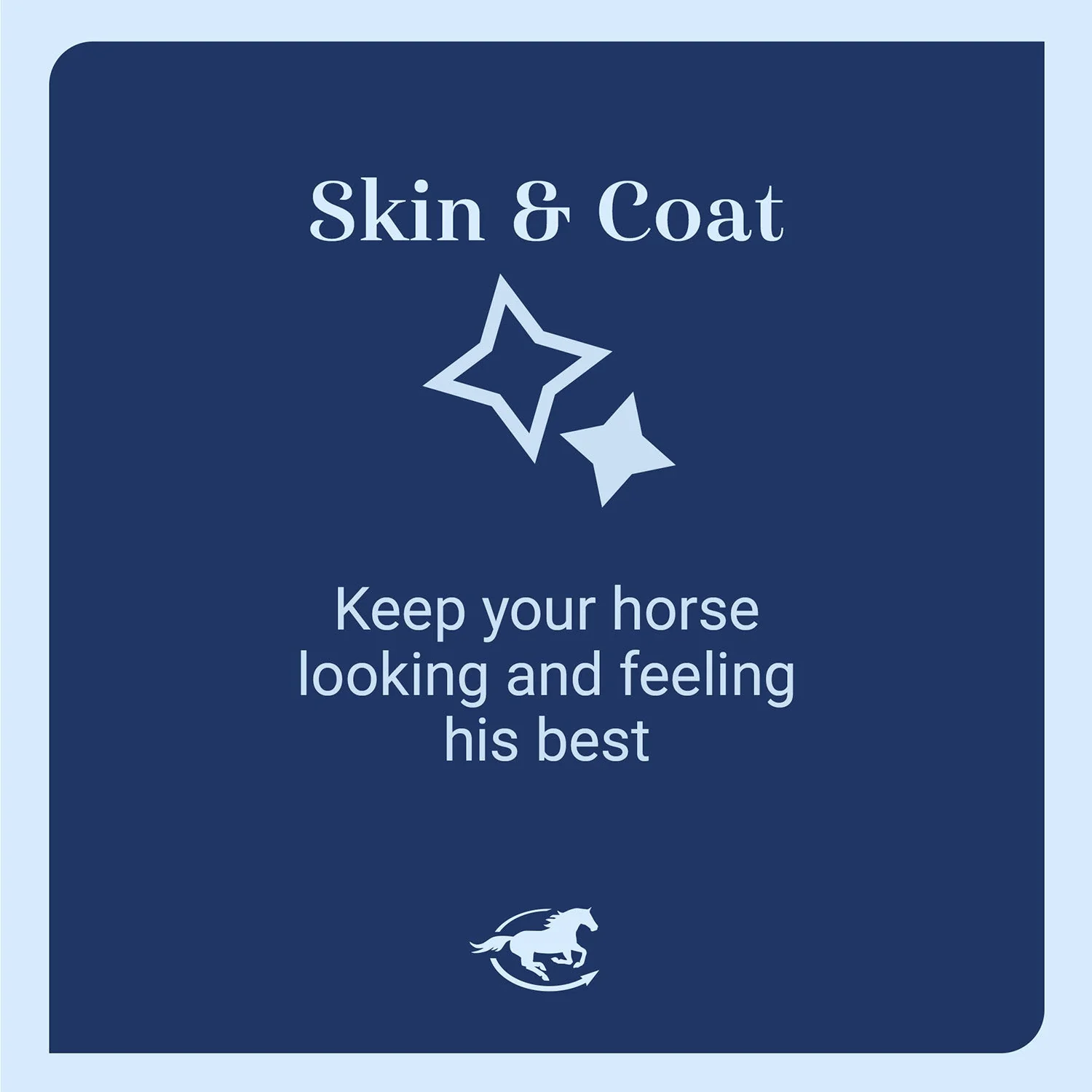 CocoSoya Oil, Omega Fatty Acid Supplement for Horses - Image 3