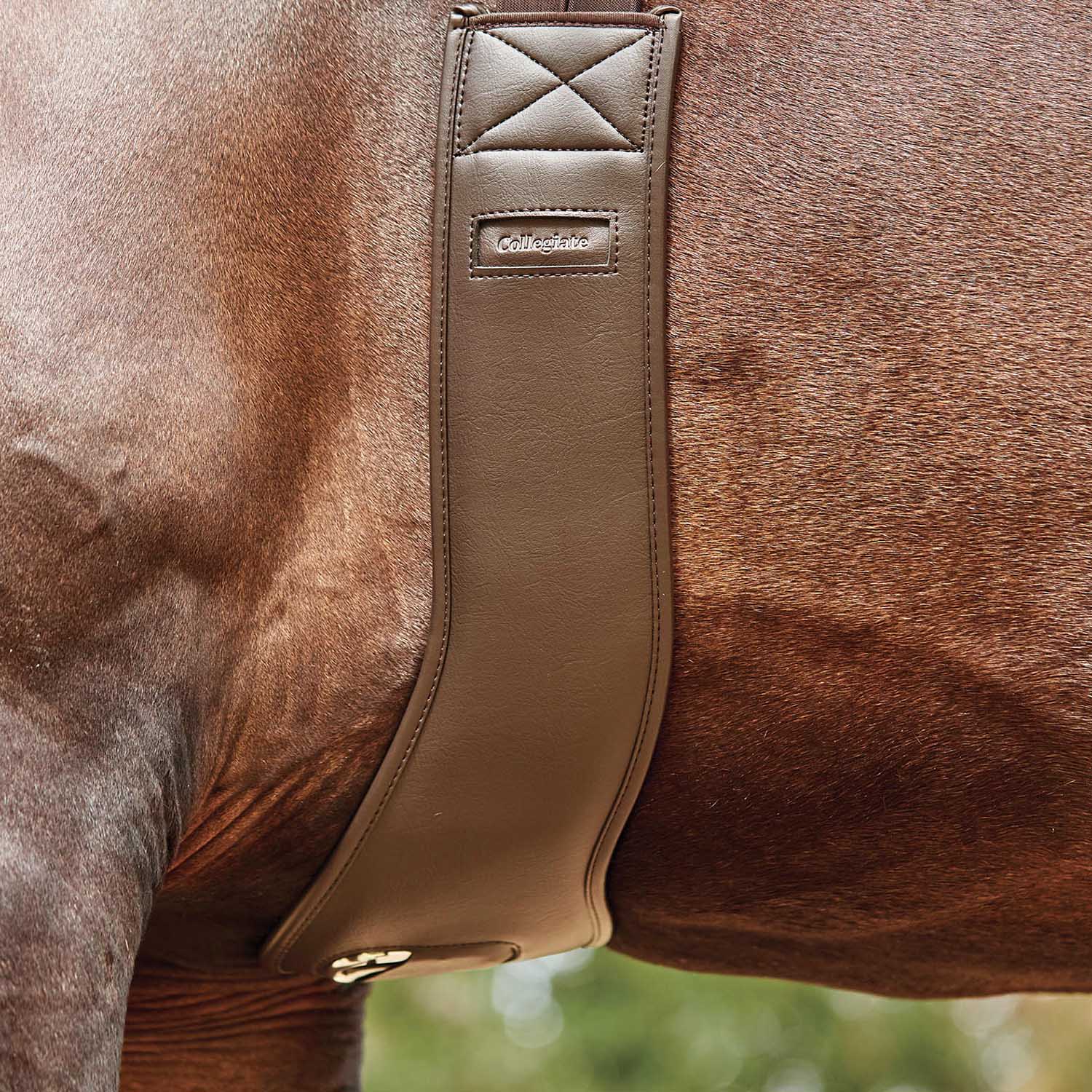 Collegiate Anatomic Girth - Image 2