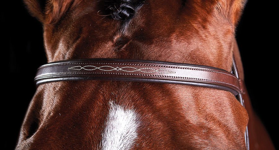 Collegiate ComFITec Fancy Stitch Bridle - Image 2