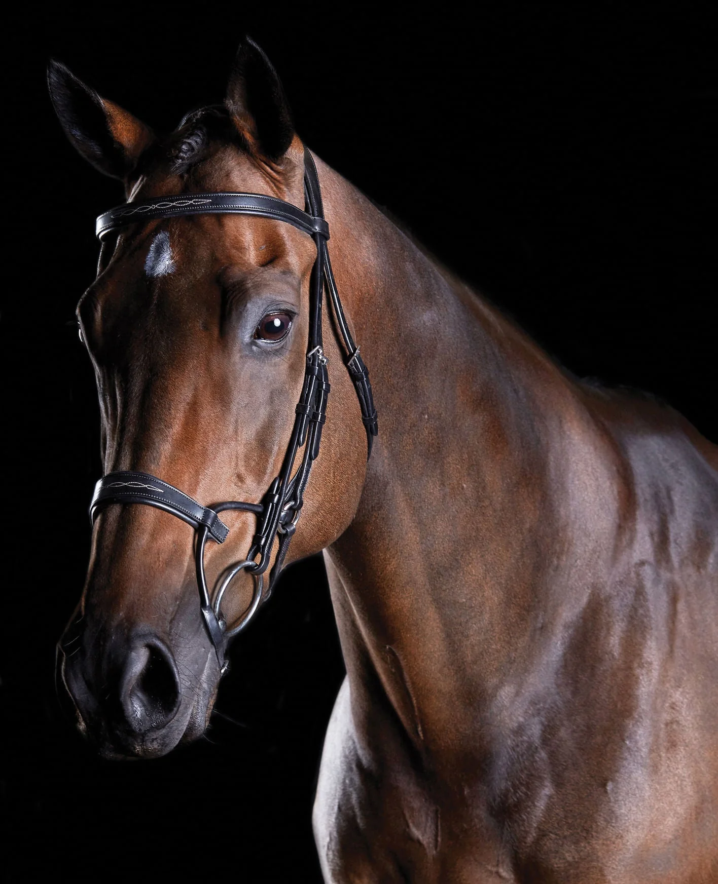 Collegiate ComFITec Fancy Stitch Bridle - Image 1