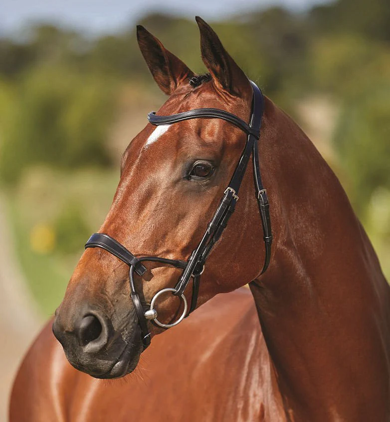 Collegiate ComFITec Training Bridle - Image 1