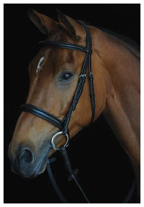 Collegiate Comfort Crown Padded Raised Cavesson Bridle - Image 1