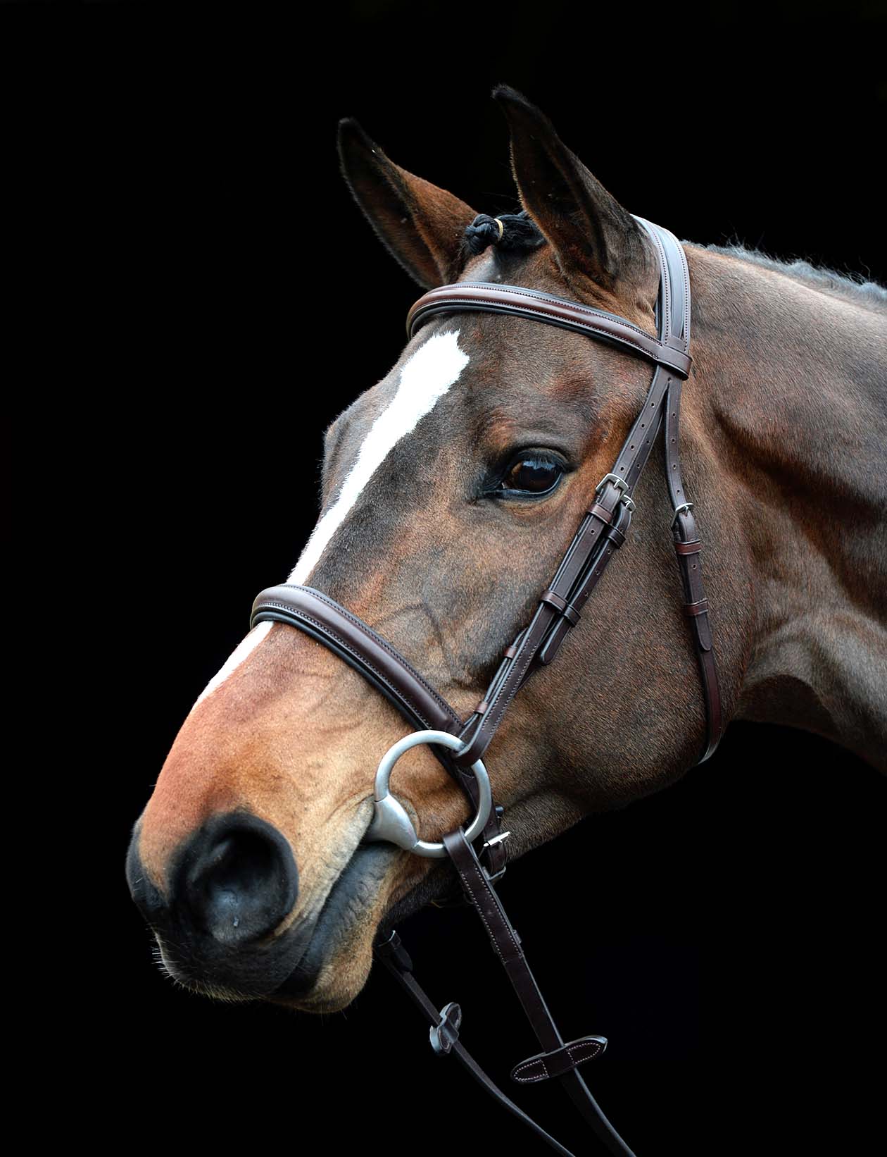 Collegiate Comfort Crown Padded Raised Cavesson Bridle - Image 2