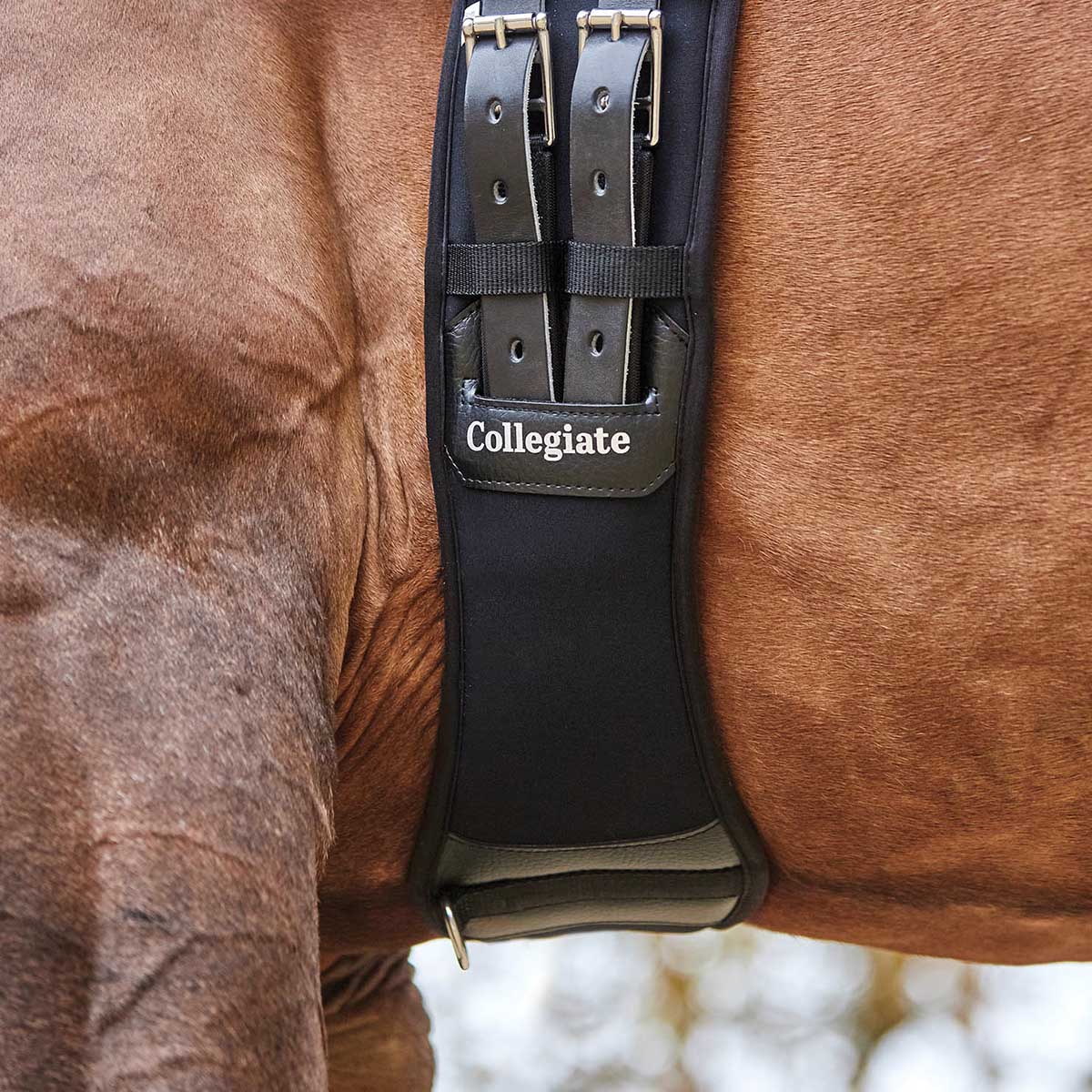 Collegiate Memory Foam Dressage Girth, Black - Image 2
