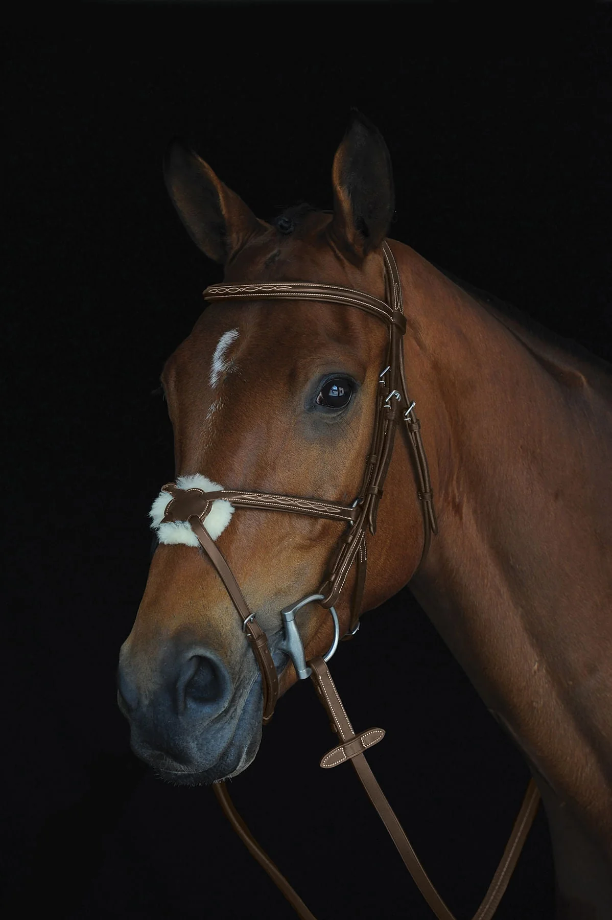 Collegiate Mono Crown Figure 8 Bridle, Brown - Image 3