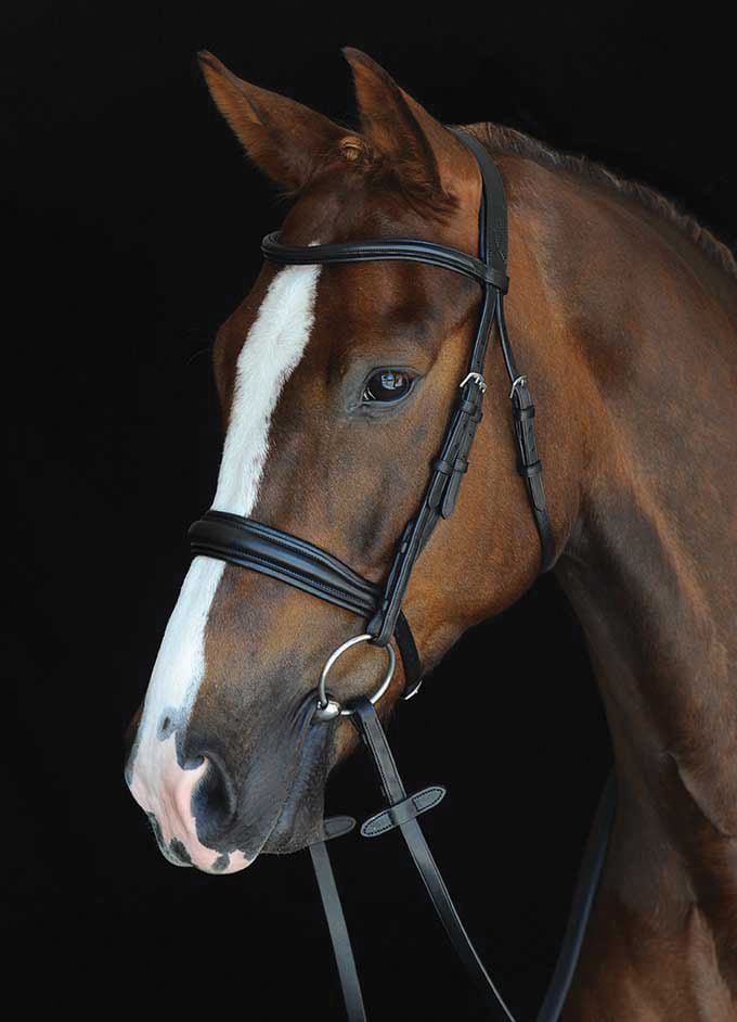 Collegiate Mono Crown Padded Raised Cavesson Bridle - Image 1