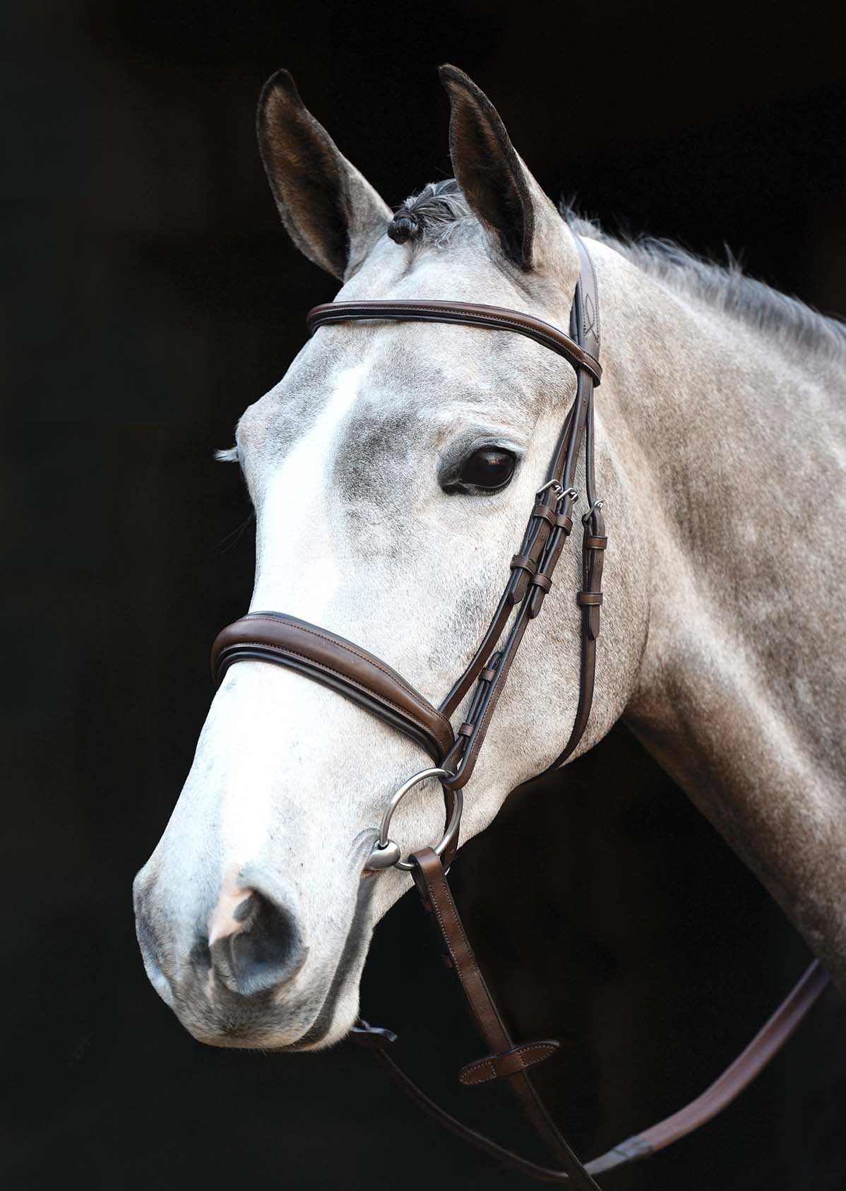 Collegiate Mono Crown Padded Raised Cavesson Bridle - Image 2