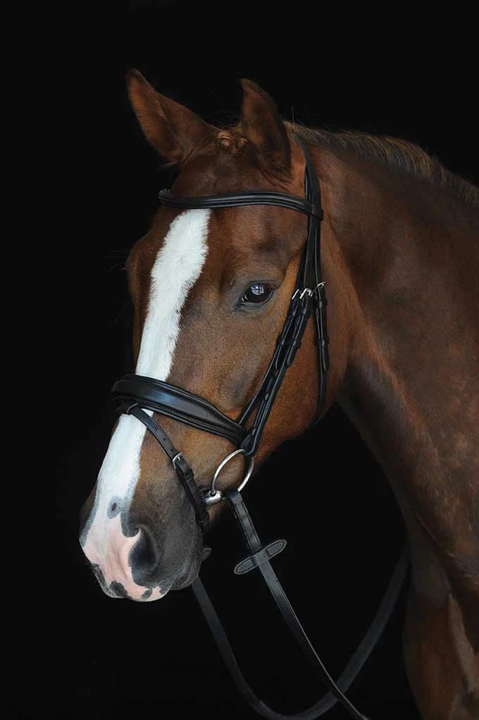 Collegiate Mono Crown Padded Raised Flash Bridle - Image 1