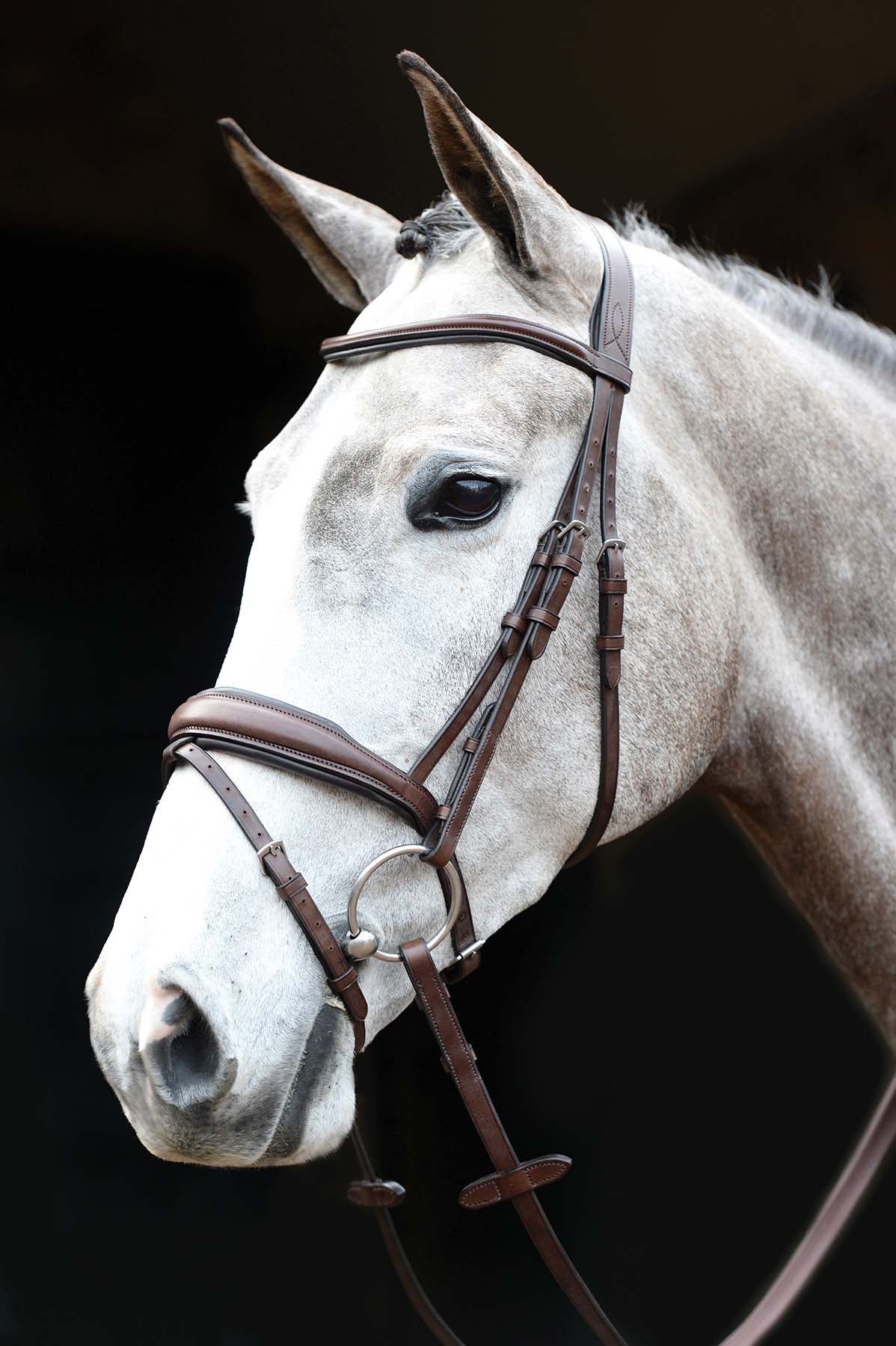 Collegiate Mono Crown Padded Raised Flash Bridle - Image 2