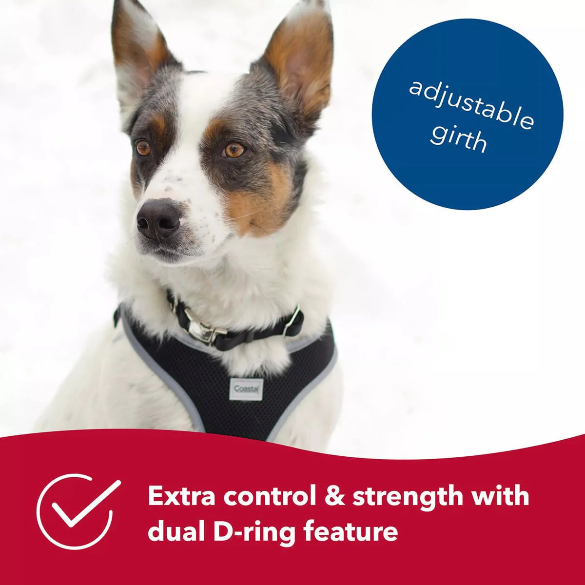 Comfort Soft Reflective Wrap Adjustable Dog Harness - Image 3