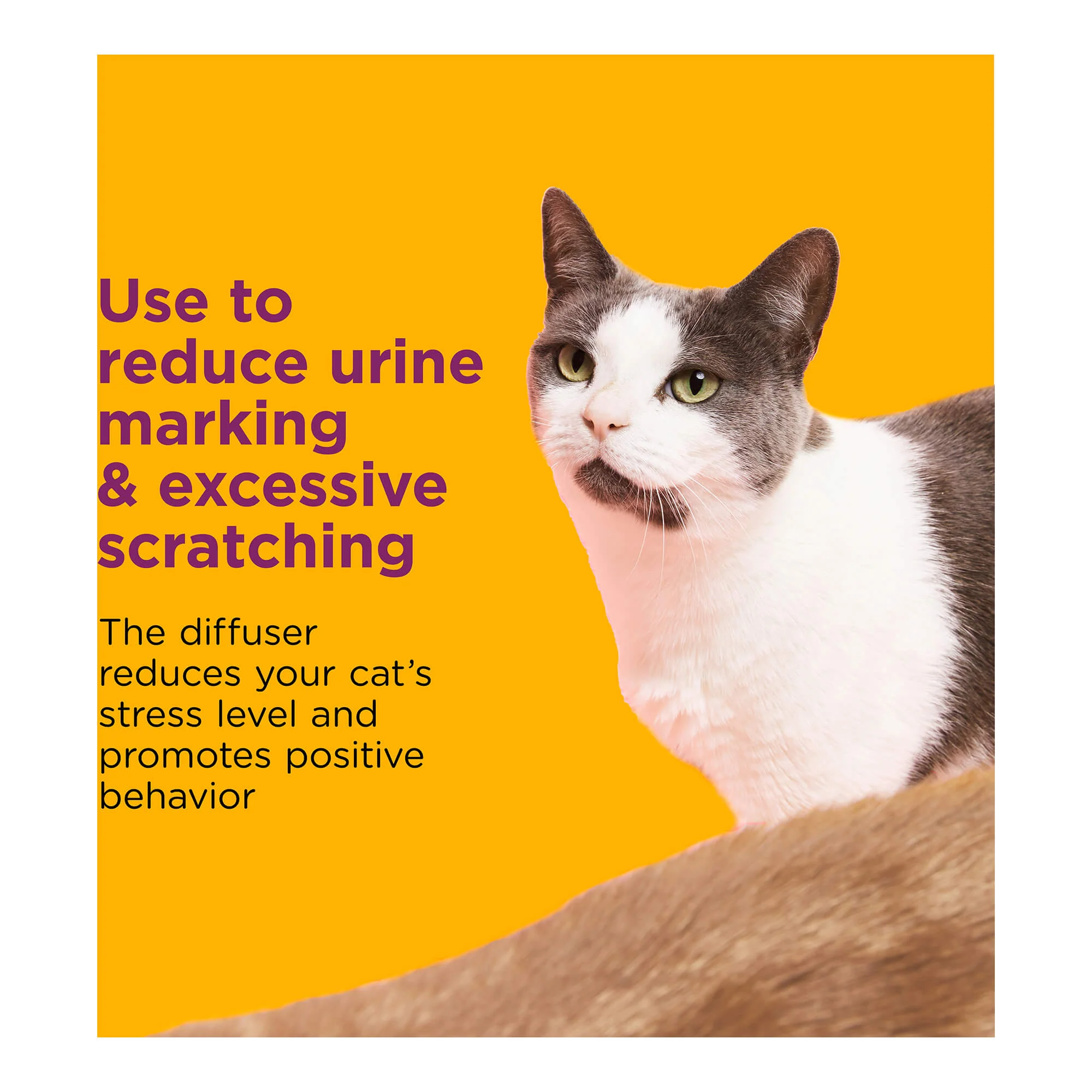 Comfort Zone Multi Cat Calming Diffuser & Refills – Pheromone Stress Relief - Image 3