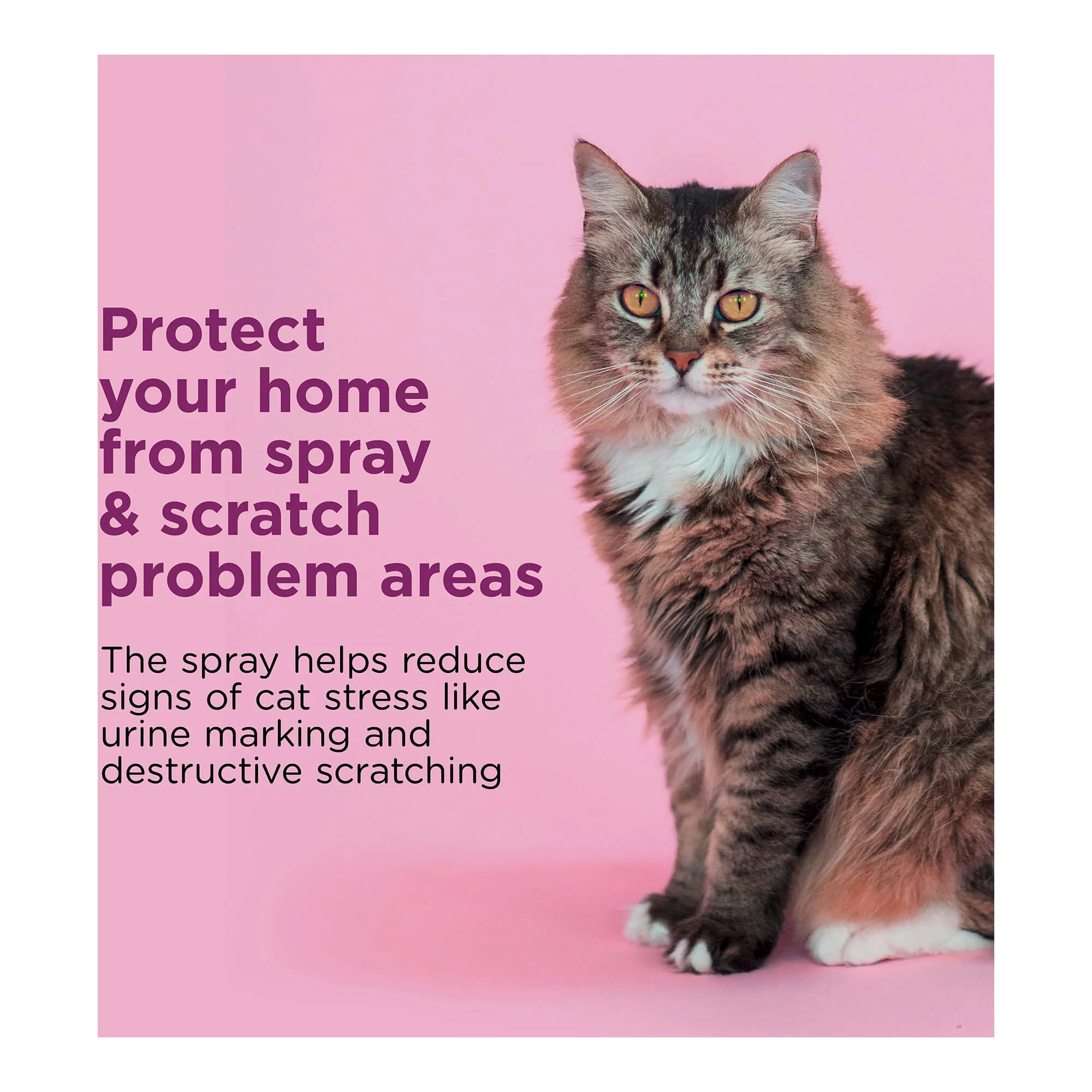 Comfort Zone Scratch Deterrent and Calming Spray for Cats - Image 2