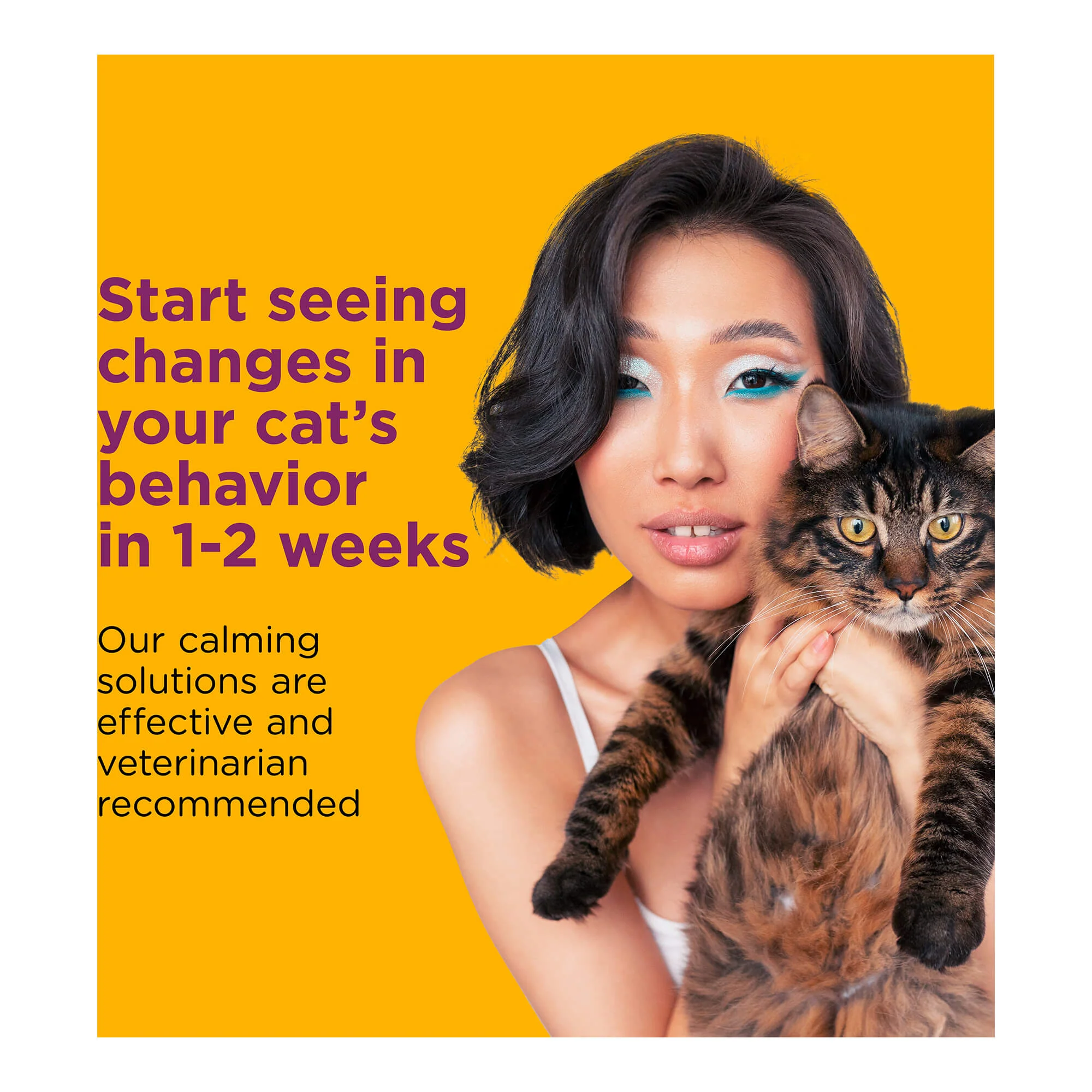 Comfort Zone Scratch Deterrent and Calming Spray for Cats - Image 3