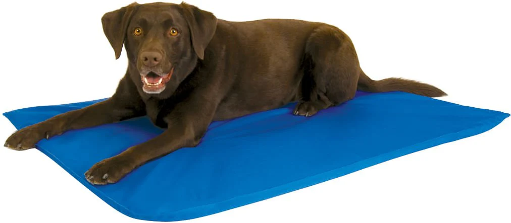 K&H Cool Bed III for Dogs - Image 1