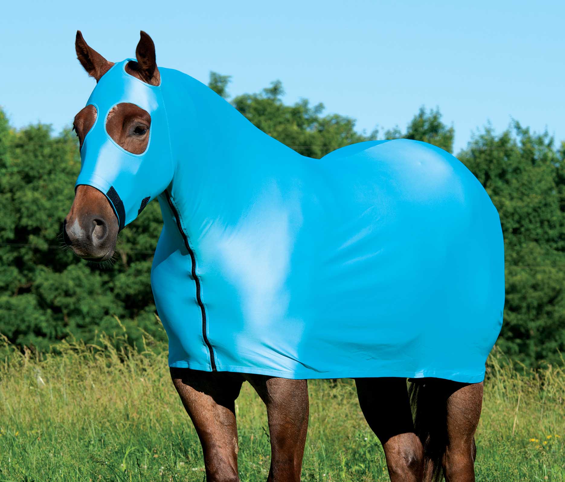 Coolcore Lycra Cooling Sheet for Horses with UV Protection - Image 1