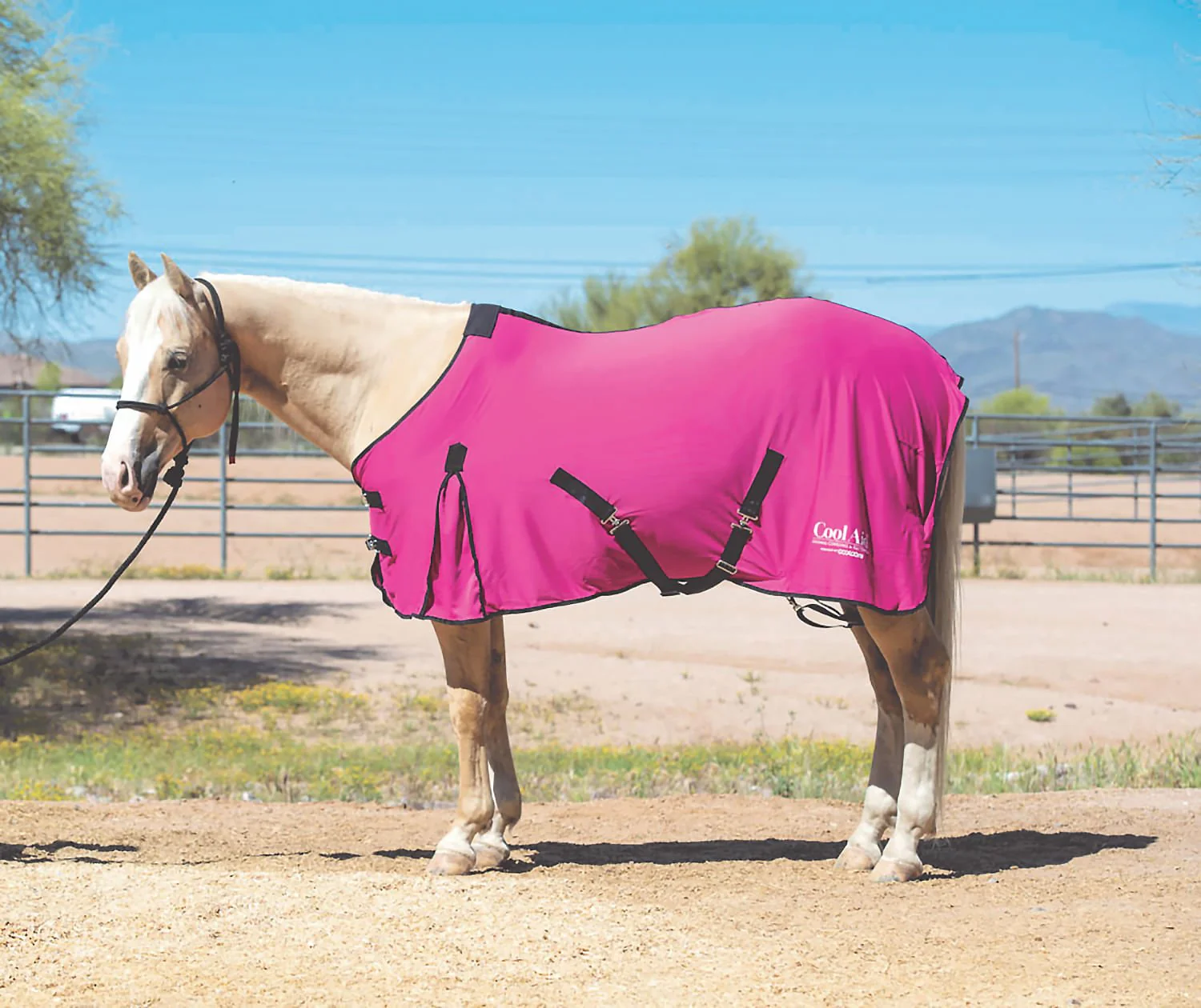 Coolcore Equine Cooling Blanket - Image 1