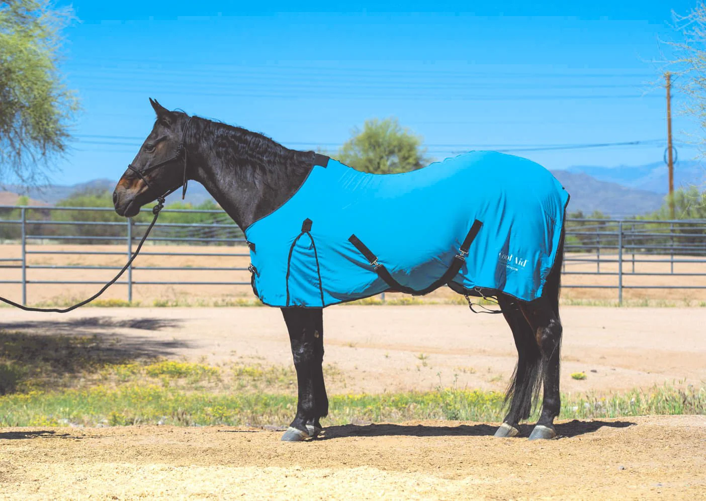 Coolcore Equine Cooling Blanket - Image 3