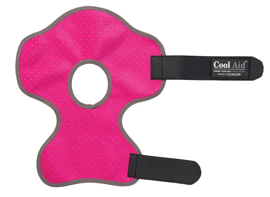CoolCore Equine Icing and Cooling Hock Wraps - Image 1
