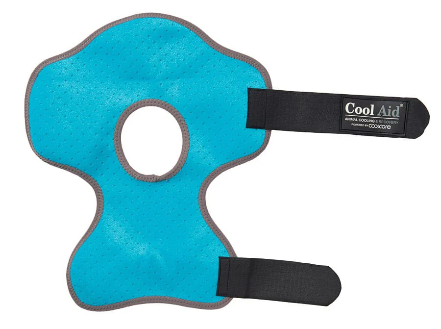 CoolCore Equine Icing and Cooling Hock Wraps - Image 3