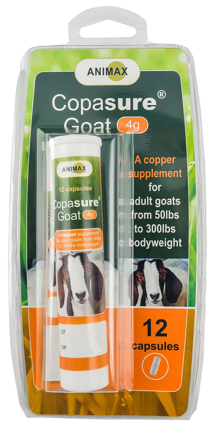 Copasure Bolus Copper Supplement for Goats and Kids - Image 1
