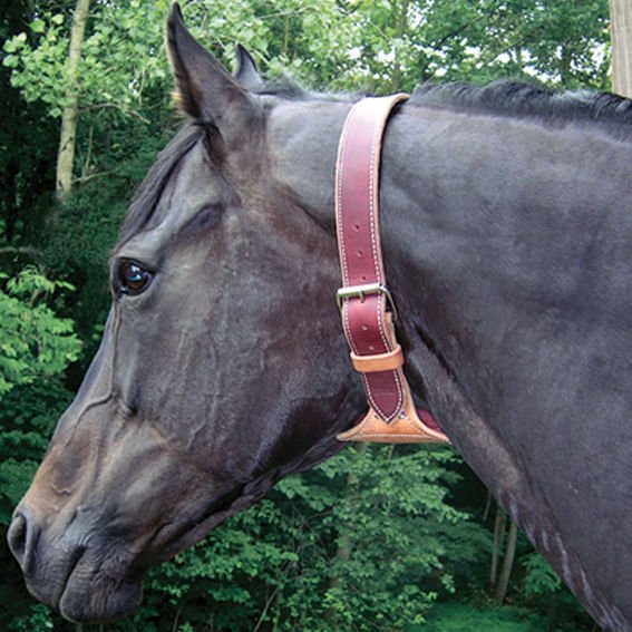 Dare Leather Cribbing Control Collar with Fleece for Horses - Image 1