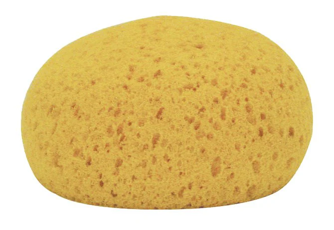 Decker Tack Sponges, 12 Pack - Image 1