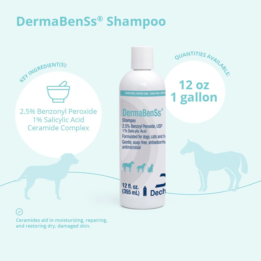 DermaBenSs Medicated Antimicrobial Shampoo for Dogs, Cats & Horses - Image 3