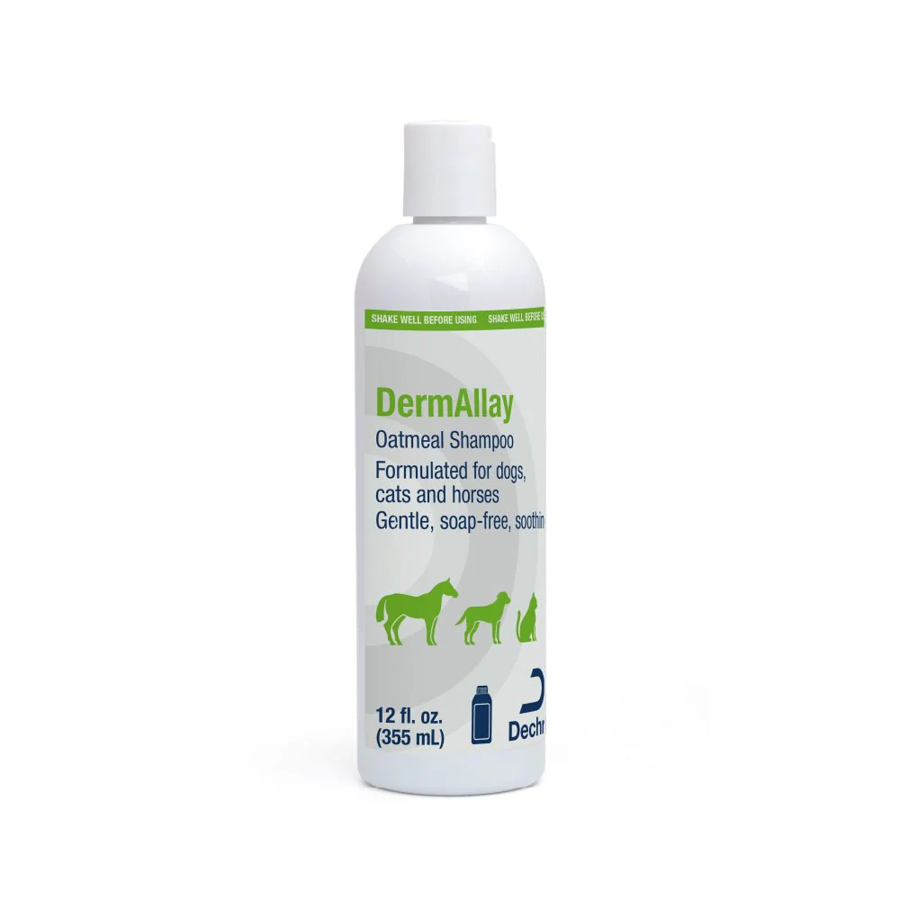 DermAllay Oatmeal Shampoo for Dogs, Cats & Horses - Image 1