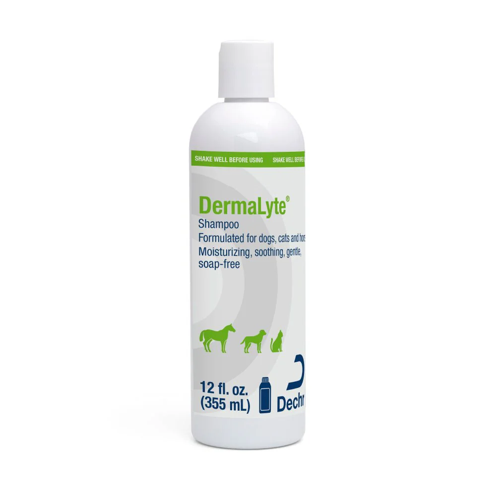 Dermalyte Shampoo for Dogs, Cats & Horses - Image 1